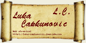 Luka Čapkunović vizit kartica